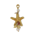 PICCOLLASTELLAGIALLA.Charmpequeno 1 scaled