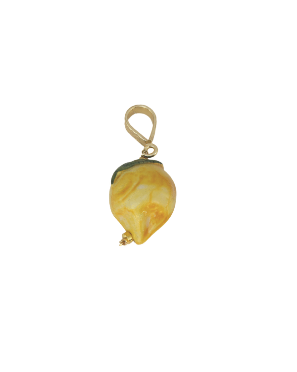 PICCOLOLIMONE.CHARMPEQUENO scaled